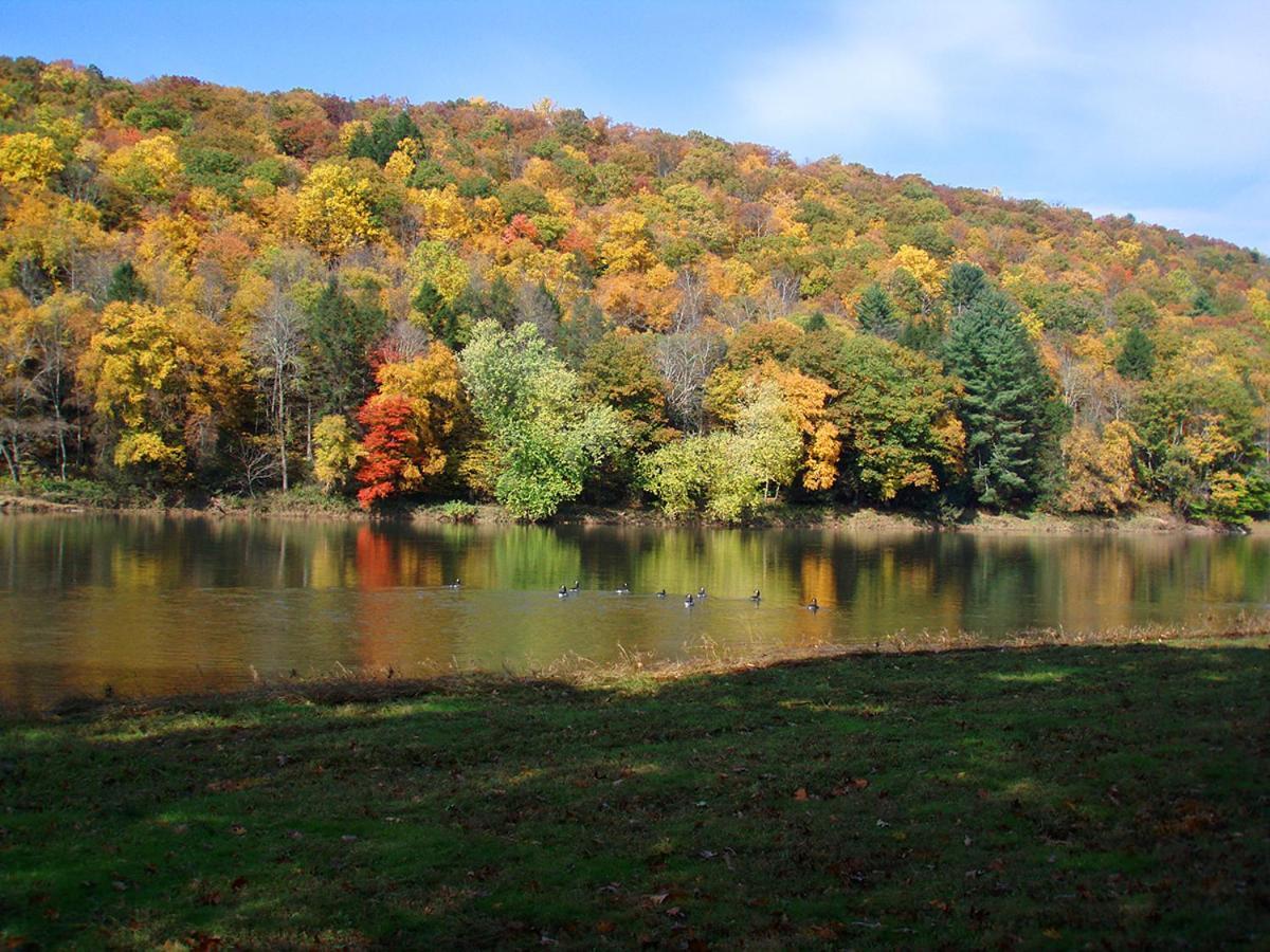 Spacious Home With Deck, Grill And Delaware River View Callicoon ภายนอก รูปภาพ